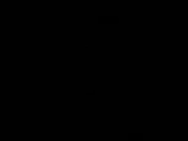 67af33658bacfMus9dCgfys1739535205.jpeg